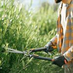 How to Trim Hedges Like a Pro Using a Gas Hedge Trimmer: Power, Precision & Peace of Mind