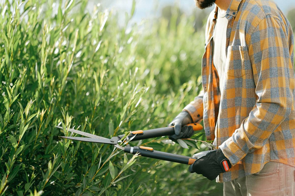 How to Trim Hedges Like a Pro Using a Gas Hedge Trimmer: Power, Precision & Peace of Mind