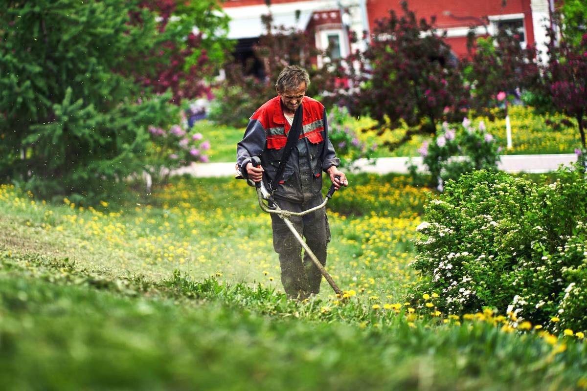 Is Your Garden Groom Hedge Trimmer Actually Grooming… or Just Gunning It?