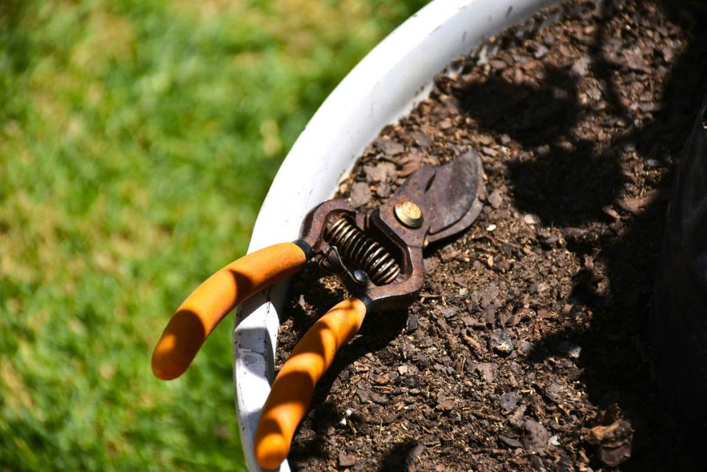Why Your Hedge Trimmer Needs a Guide (And How to Use One Like a Pro)