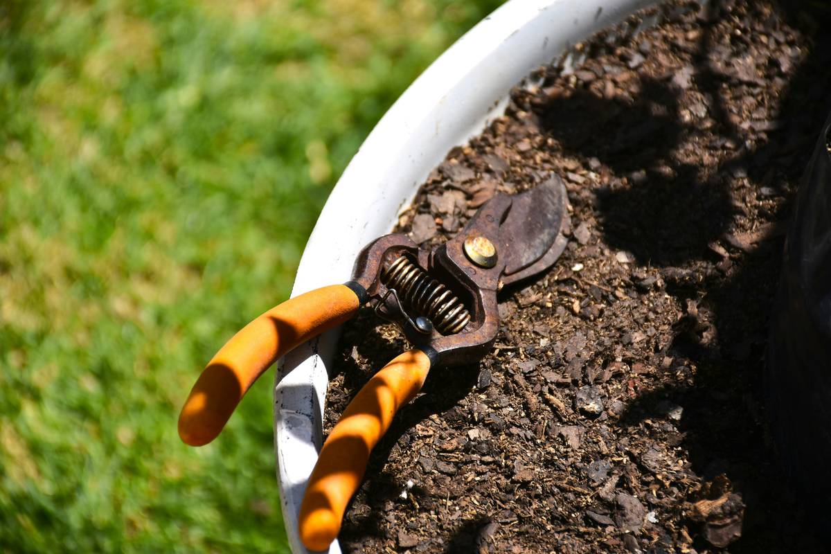 Why Your Hedge Trimmer Needs a Guide (And How to Use One Like a Pro)