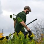 extending hedge trimmer electric: Cut Tall Hedges Without Backbreaking Ladders