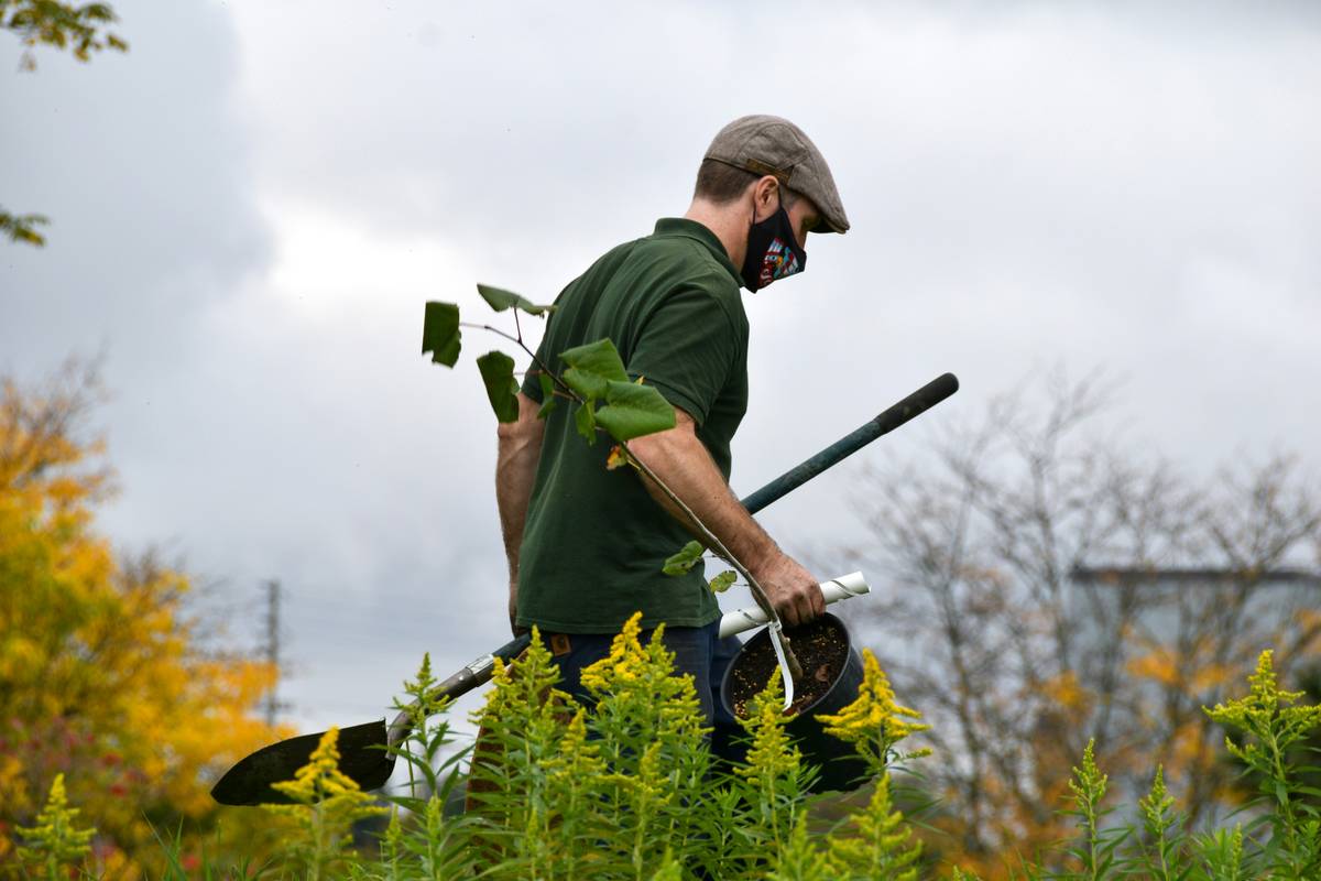 extending hedge trimmer electric: Cut Tall Hedges Without Backbreaking Ladders