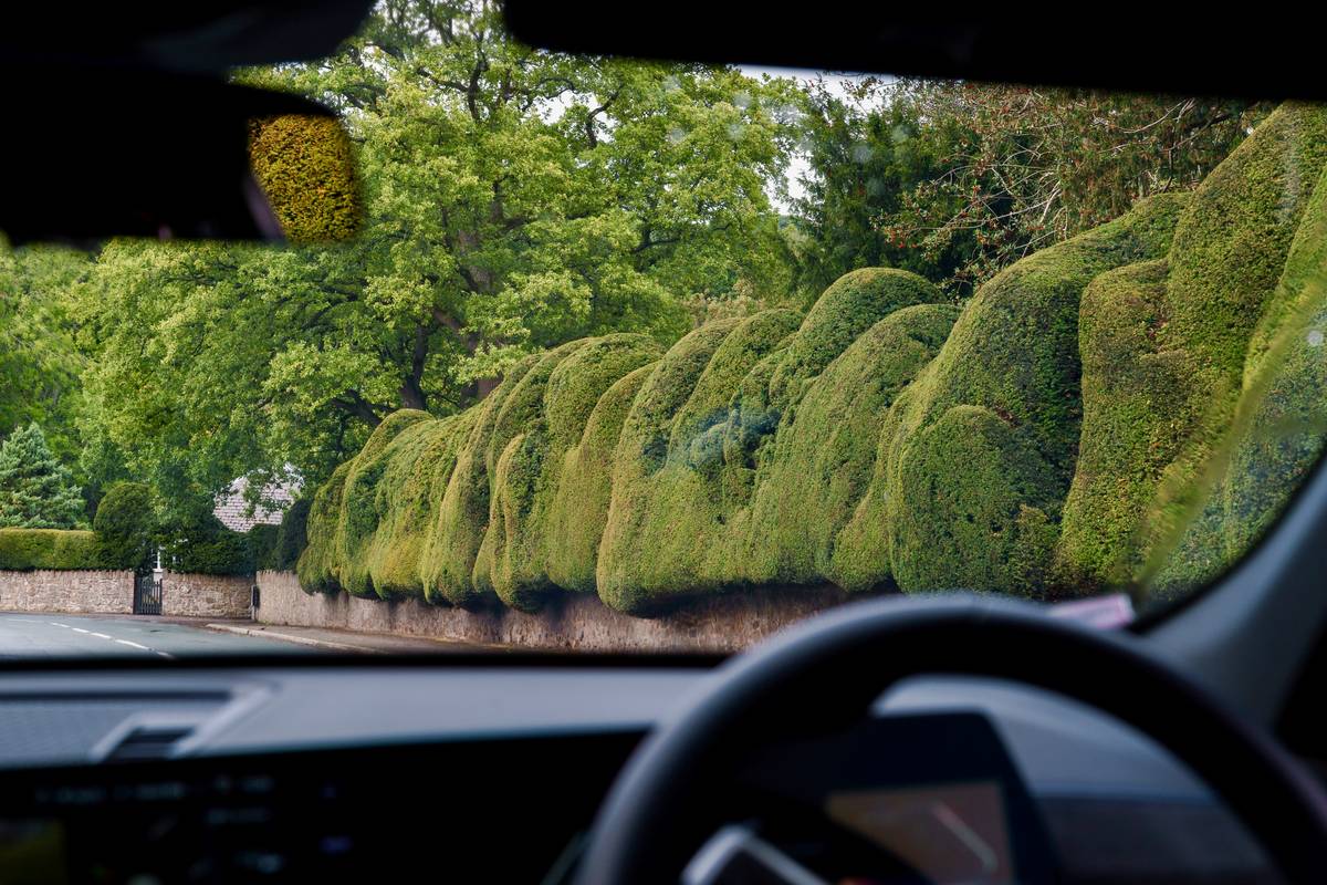 hedge trimmer oil ryobi: The Overlooked Secret to Longer-Lasting Cuts