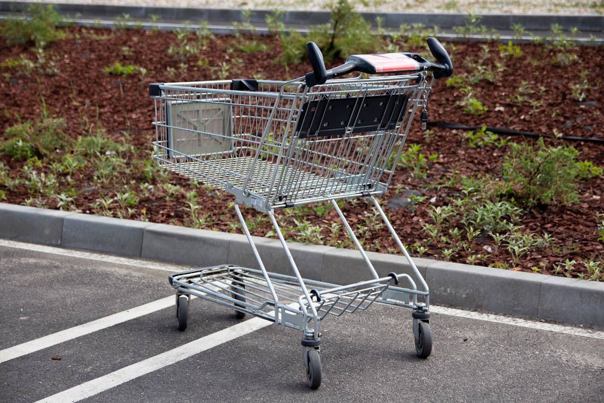 Where to Buy Hedge Trimmer Oil at Bunnings—And Why It’s Not Always the Right Choice