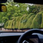 Why the Garden Groomer Hedge Trimmer Outperforms Traditional Models