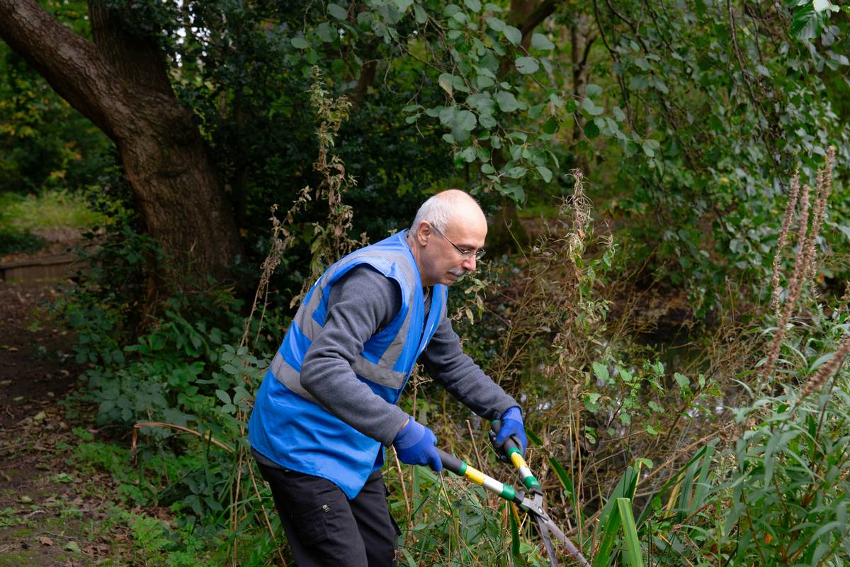 Why Your Hedge and Tree Trimmer Is Failing—And How to Fix It