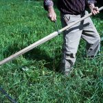 Why Your Hedge Trimmer Blade Squeals Like a Stressed Squirrel (And How the Right Hedge Trimmer Oil Blade Fix Saves Your Garden—and Sanity)