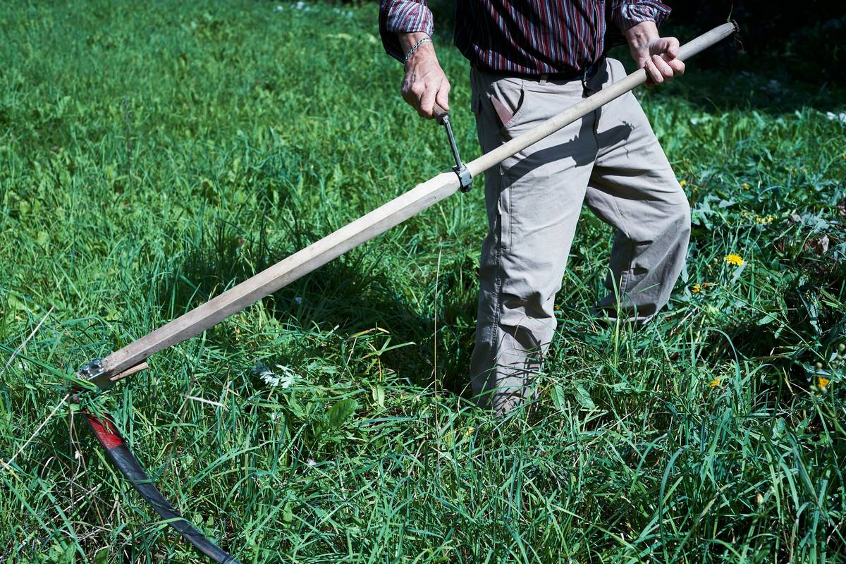 Why Your Hedge Trimmer Blade Squeals Like a Stressed Squirrel (And How the Right Hedge Trimmer Oil Blade Fix Saves Your Garden—and Sanity)