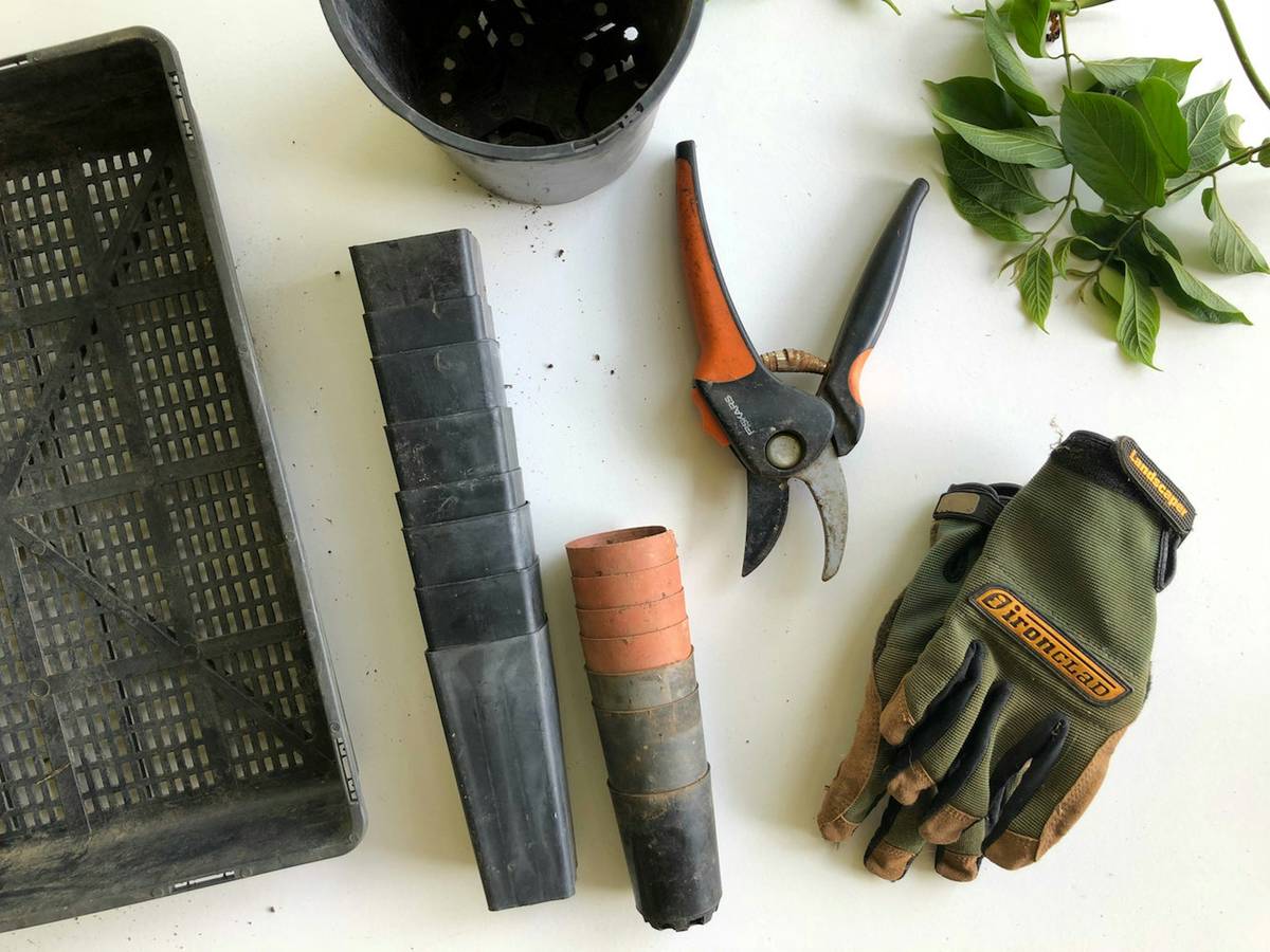 Close-up of stihl hedge trimmer oil bottle beside a Stihl HT 86 hedge trimmer with oil reservoir open