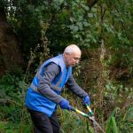 Gas Hedge Trimmer Lowes: 7 Proven Tips to Avoid Costly Mistakes