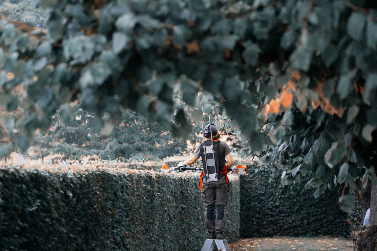 Gas Hedge Trimmer Nearby: 7 Proven Tips to Avoid Costly Mistakes