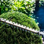 Oil for Hedge Trimmer Blades: 7 Proven Tips to Avoid Costly Mistakes