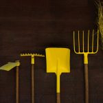 Ryobi Hedge Trimmer Oil: 7 Proven Tips to Avoid Costly Mistakes