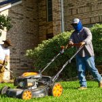 Stihl Hedge Trimmer Oil: 7 Essential Tips to Avoid Costly Engine Mistakes